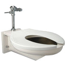 Zurn Zurn One One Piece Bariatric Flushometer Toilet, 1.6 G