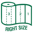 Seventh Generation 100% Recycled Paper Towel Rolls, 2-Ply, 11 X 5.4 Sheets, 156 Sheets/Rl, 32Rl/Ct - SEV13739CT - TotalRestroom.com