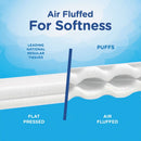 Puffs Facial Tissue, 2-Ply, White, 64 Sheets/Box - PGC84405BX (One Box) - TotalRestroom.com
