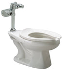 Zurn Z5665.243.00.00.00 One Piece Flushometer Toilet, 1.28 Gallons - TotalRestroom.com