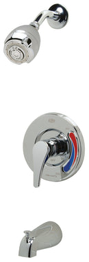 Zurn Z7302-SS-MT Temp-Gard III Tub and Shower Valve with Wall-Mount Shower Head, Diverter Tub Spout," 1/2" Female NPT Connections