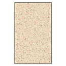 ASI Global (Phenolic) Urinal Screen (24" X 48") 40-5882480