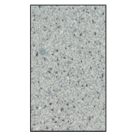 ASI Global (Phenolic) Urinal Screen (18" X 48") - 40-5881880
