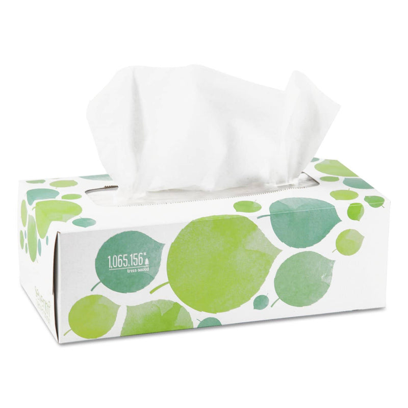 Seventh Generation 100% Recycled Facial Tissue, 2-Ply, 175 Sheets/Box, 36 Boxes/Carton - SEV13712CT - TotalRestroom.com