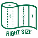 Seventh Generation 100% Recycled Paper Towel Rolls, 2-Ply, 11 X 5.4 Sheets, 156 Sheets/Rl, 24 Rl/Ct - SEV13722 - TotalRestroom.com