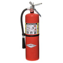 Amerex Dry Chemical Fire Extinguisher with 10 lb. Capacity