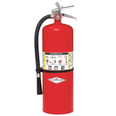 Amerex Dry Chemical Fire Extinguisher with 20 lb. Capacity