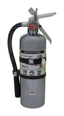 Amerex Dry Chemical Fire Extinguisher with 5 lb. Capacity a - TotalRestroom.com