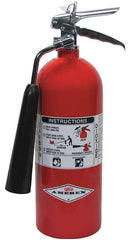 Amerex Carbon Dioxide Fire Extinguisher with 5 lb. Capacity - TotalRestroom.com