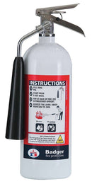 Badger Carbon Dioxide Fire Extinguisher with 5 lb. Capacity - TotalRestroom.com
