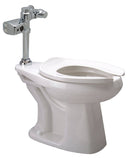 Zurn Z5666.243.00.00.00 One Piece Bedpan Flushometer Toilet, 1.28 - TotalRestroom.com