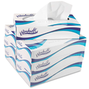 Windsoft Facial Tissue, 2 Ply, White, Pop-Up Box, 100 Sheets/Box, 6 Boxes/Pack - WIN2430