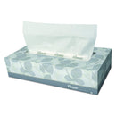 Kleenex White Facial Tissue, 2-Ply, 100 Sheets/Box, 5 Boxes/Pack, 6 Packs/Carton - KCC21005