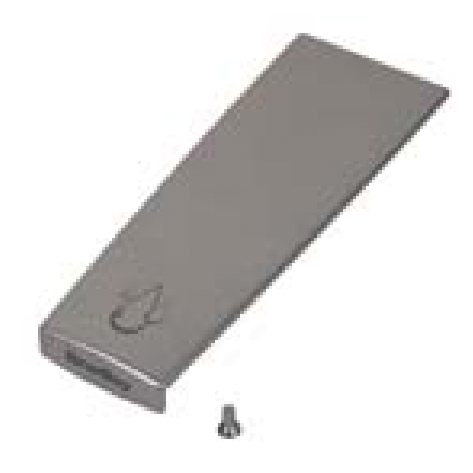 Bradley S45-2794 Prk-Faucet Cover And Screw