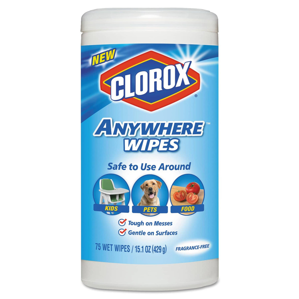 Clorox Wipes Starter Kit w/ Hand Sanitizer, Clorox Soap & Sani Wipes - WSK-1 - TotalRestroom.com