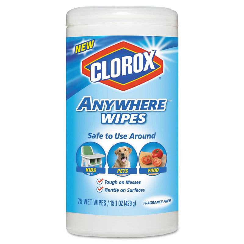 Clorox Wipes Super Starter Kit 2.0 w/ Hand Sanitizer, Sani Wipes, Lysol Disinfectant Lemon Concentrate - WSK-4 - TotalRestroom.com