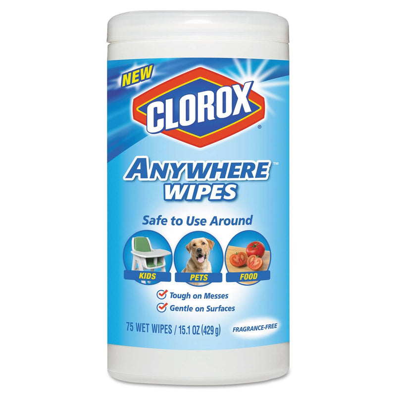 Clorox Wipes Super Starter Kit 2.0 w/ Hand Sanitizer, Sani Wipes, Lysol Disinfectant Pine Concentrate - WSK-5 - TotalRestroom.com
