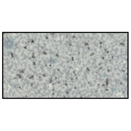 ASI Global (Plastic Laminate) Urinal Screen (24" X 48") - 40-7782480