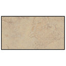 ASI Global (Plastic Laminate) Urinal Screen (24" X 48") - 40-7782480