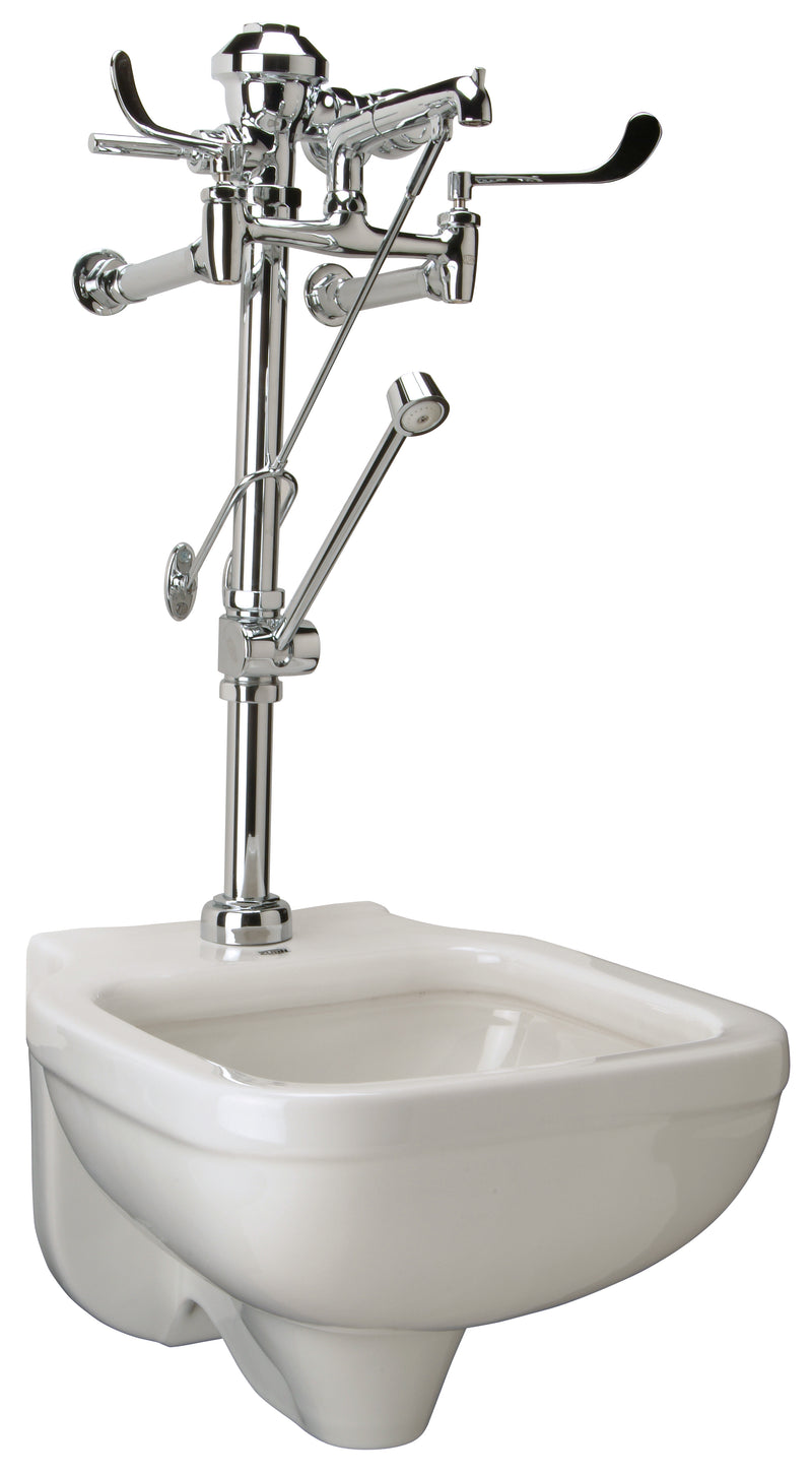 Zurn Z.CS2.M Zurn One Manual Wall Mounted Service Sink System with 6.5 GPF Flush Valve with Bedpan Washer